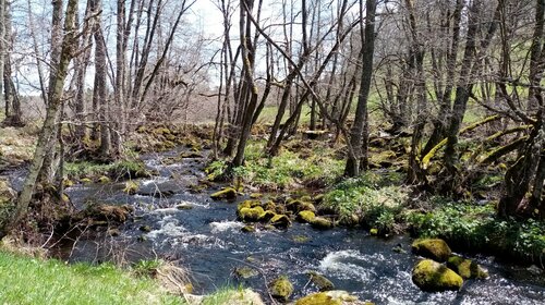 Principaux cours d'eau