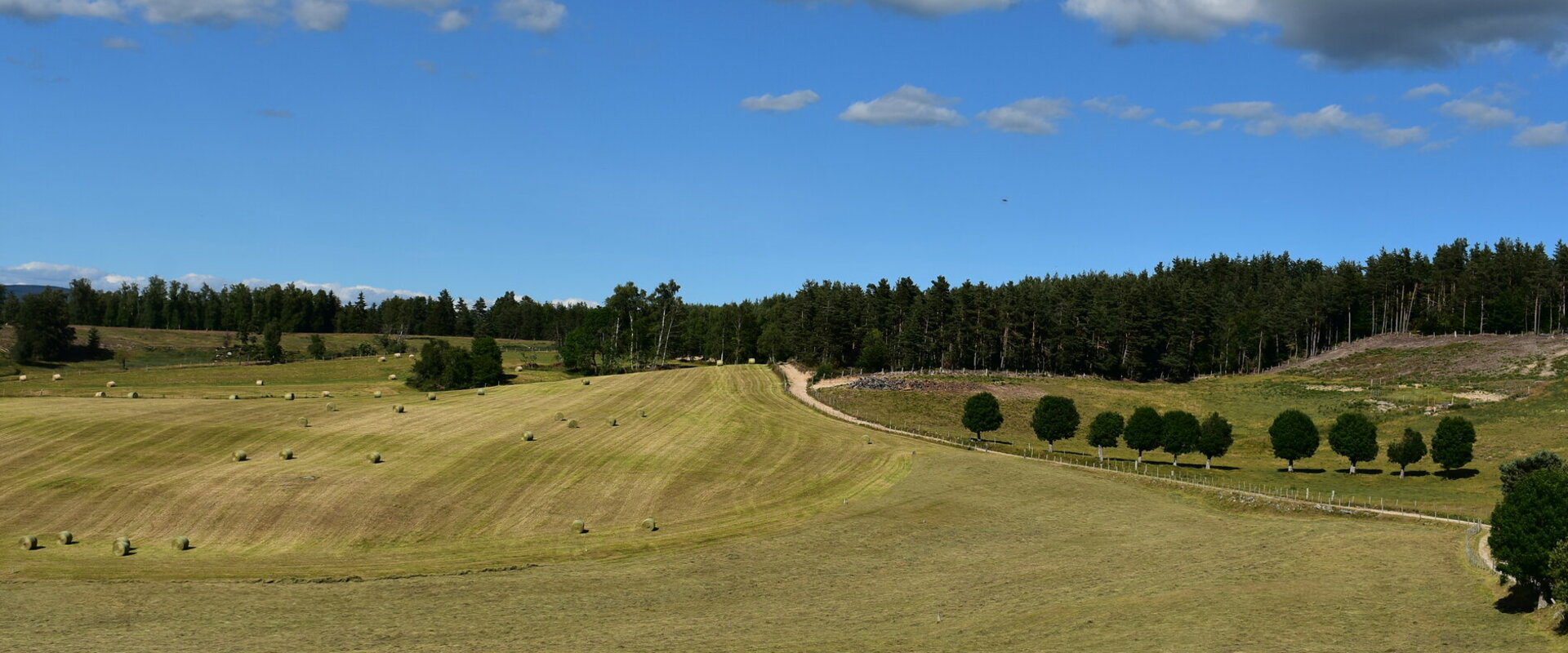 Bienvenue sur le nouveau site de la commune de LACHAMP-RIBENNES. au coeur de la Lozère Randon Margeride